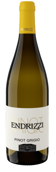 Pinot Grigio Dolomiti D.o.c. 2024