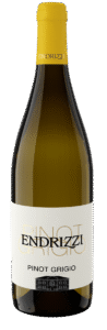 Pinot Grigio Dolomiti D.o.c. 2024