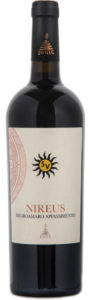 Negroamaro Appassimento Nireus I.g.p. 2023 "Salvi's Selezione"